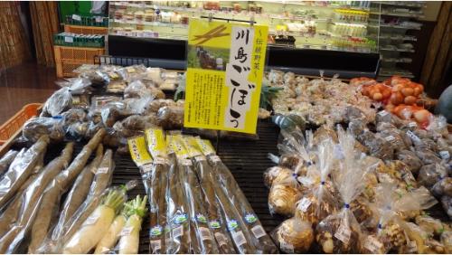 川島ごぼうの写真2