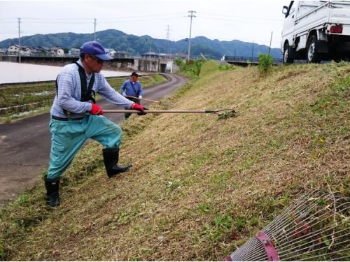 写真の画像1