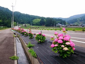 （8）上戸口県道福井今立線