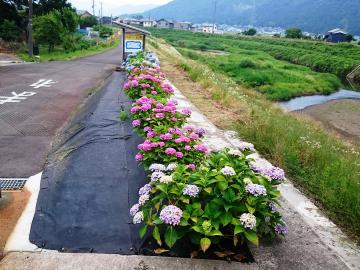 （2）松成鞍谷川右岸