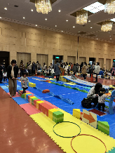 サーキット運動