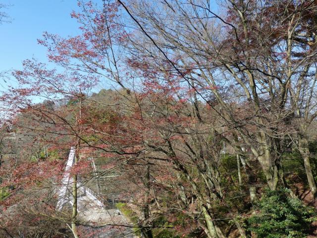 上段の庭・松堂庵付近　(撮影　12月 2日)