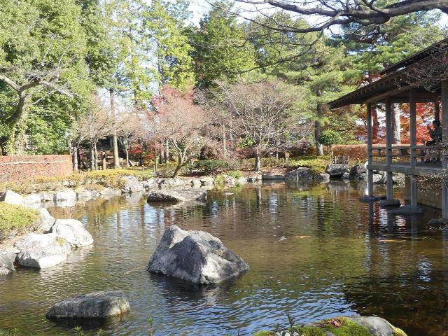 撮影日　11月29日