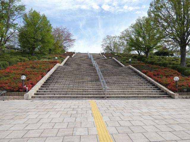 西山公園クルメツツジ