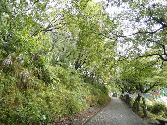 祈りの道・展望台付近