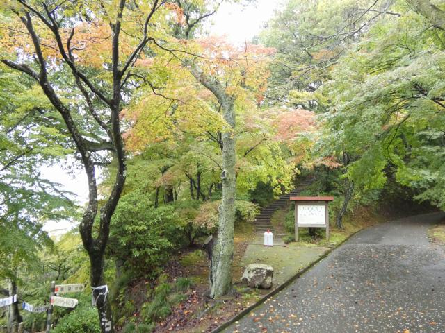祈りの道・展望台付近