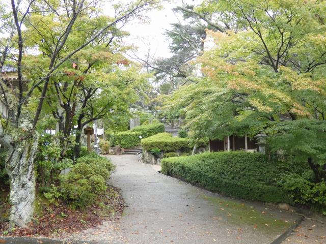 上段の庭・松堂庵付近