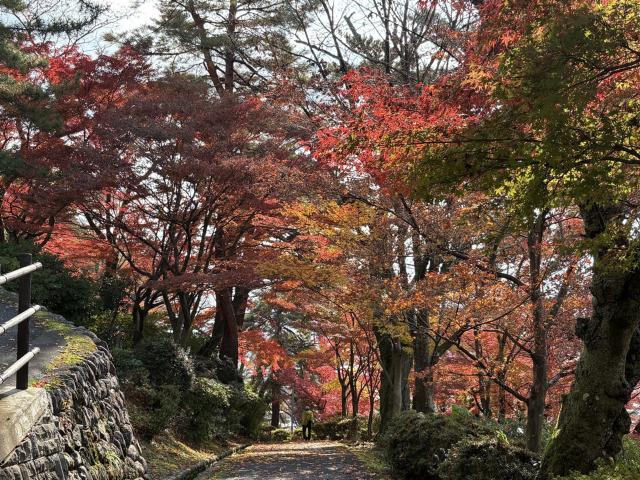 松堂庵、松堂亭付近　見頃の写真