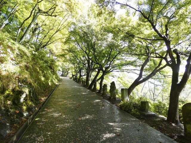 祈りの道、展望台付近 青葉