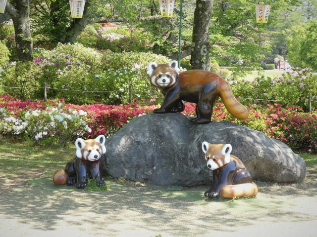 ヒラドツツジ　5分咲き