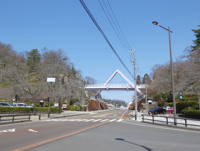 西山公園ソメイヨシノ