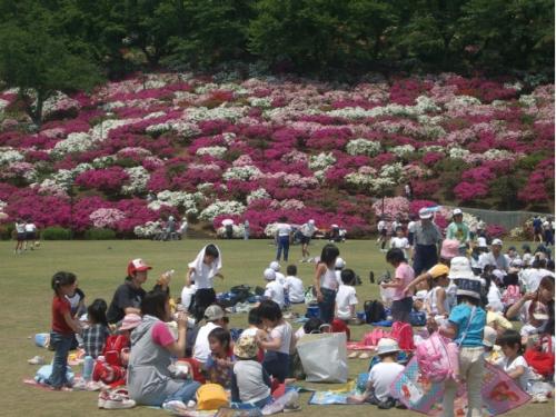 芝生広場（お祭り広場）