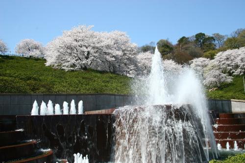 大噴水