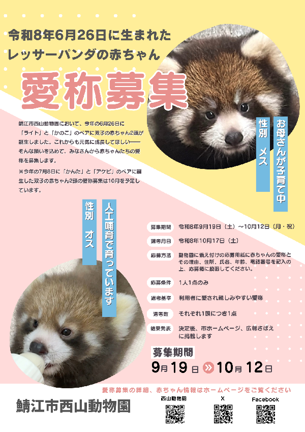 レッサーパンダの赤ちゃんの愛称募集について