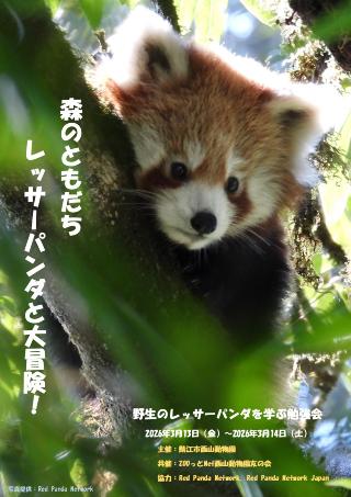 森のともだち レッサーパンダと大冒険!ポスター