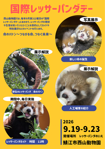 国際レッサーパンダデー