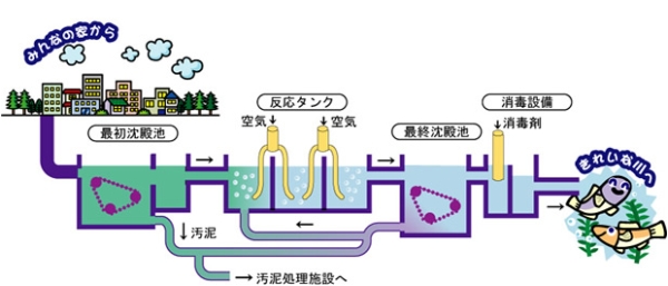 水をきれいにする仕組み