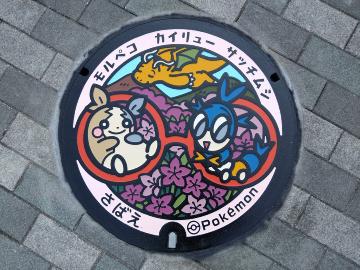 『ポケふた』