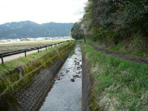 金谷川写真1