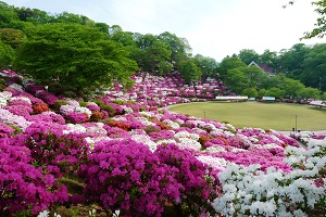 西山公園