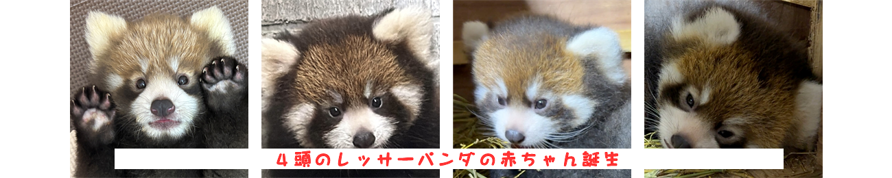 西山動物園バナー
