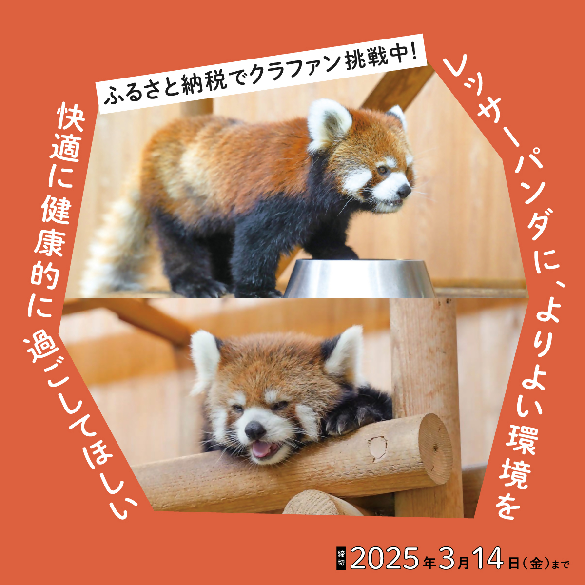 クラウドファンディング型ふるさと納税　西山動物園