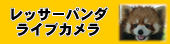 レッサーパンダライブカメラ　鯖江市ホームページに移動します