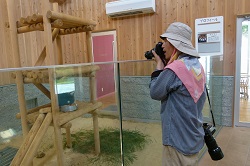 動物園の軽トラック、ラッピングお披露目