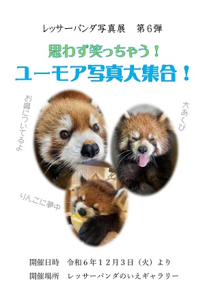 レッサーパンダ写真展第6弾ポスター