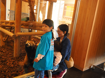 西山動物園感謝祭を開催します
