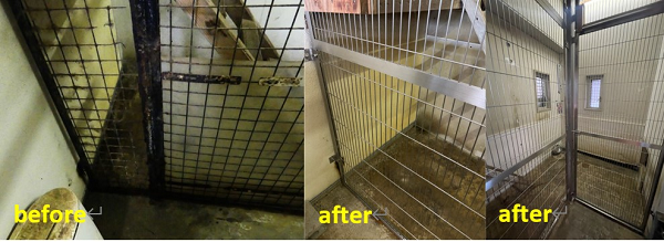 西山動物園友の会主催の「どうぶつたちのごはんをとどけよう」が行われました