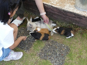 「ふれあい動物園」の開催について