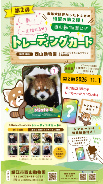 第2弾　第2期の西山動物園公式レッサーパンダ・トレーディングカード　発売開始