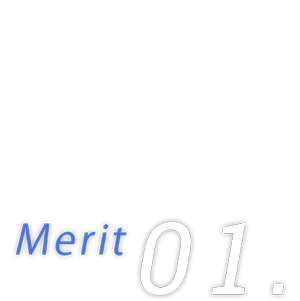 merit01