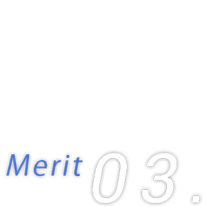 merit03