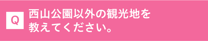 西山公園以外の観光地を教えてください。