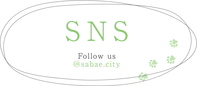 SNS Follow us @sabae.city